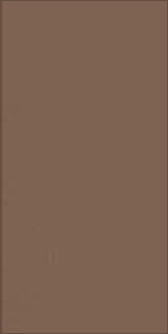 Керамогранит Forum Brown 30x60 см